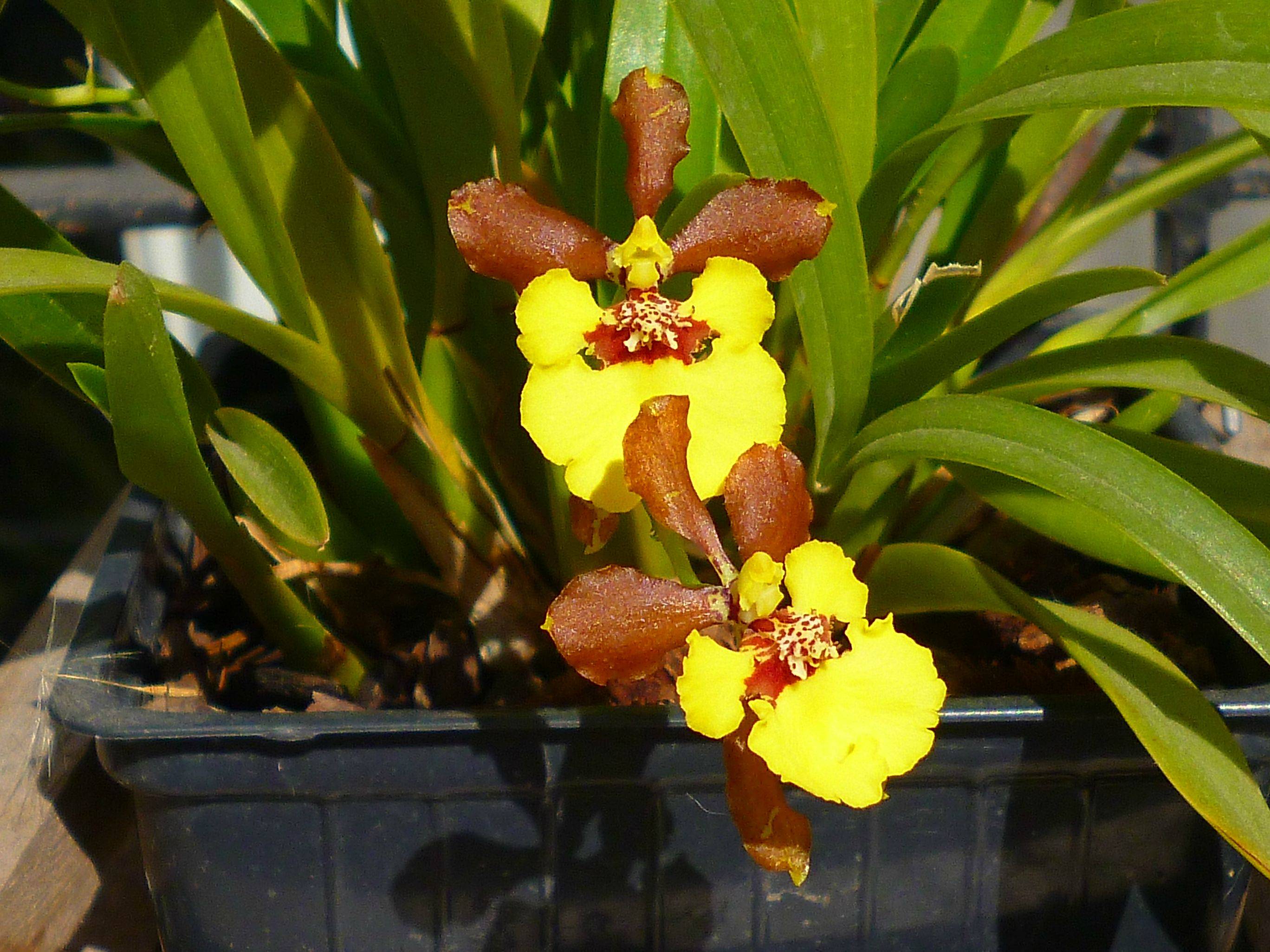 aBW6f.jpg