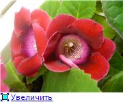 ac0a91f7bdcet.jpg