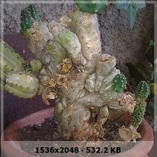 ac26fcdf8d1f8cffc88cc0cc752cbd67o.jpg