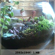 acaa1590e35fb26e48a1763f329237e7o.jpg