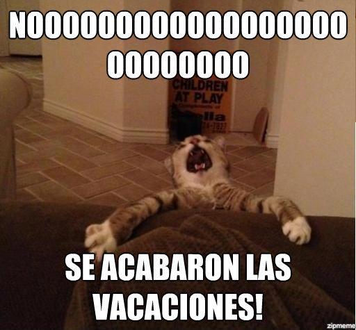 acabaron-las-vacaciones.jpg