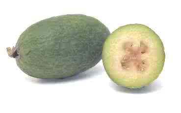Acca_sellowiana.jpg