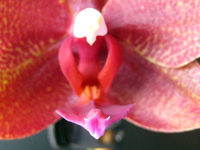 acd29ab3.jpg