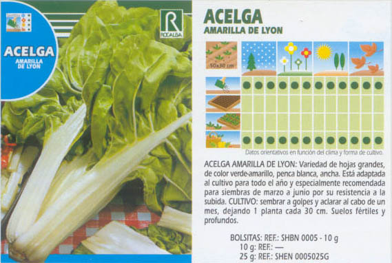 acelga_amarilla_lyon.jpg