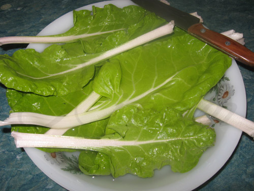 acelgas05.jpg