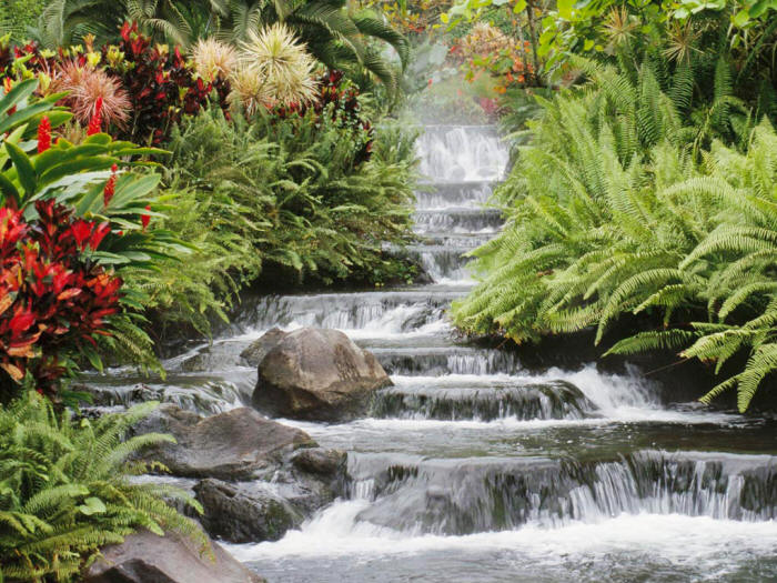 Acercamoas-la-naturaleza-a-tu-vida.jpg