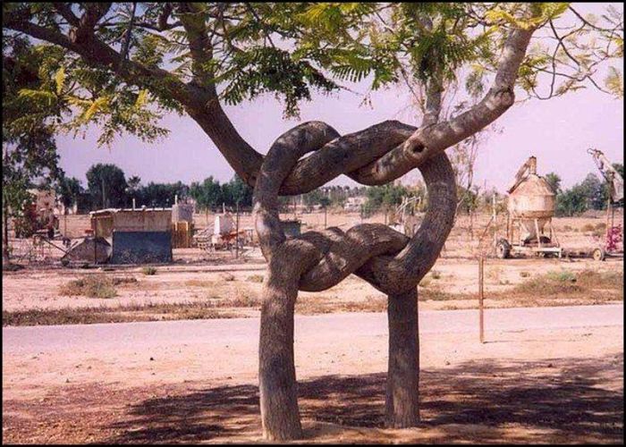 acid_picdump_05.jpg