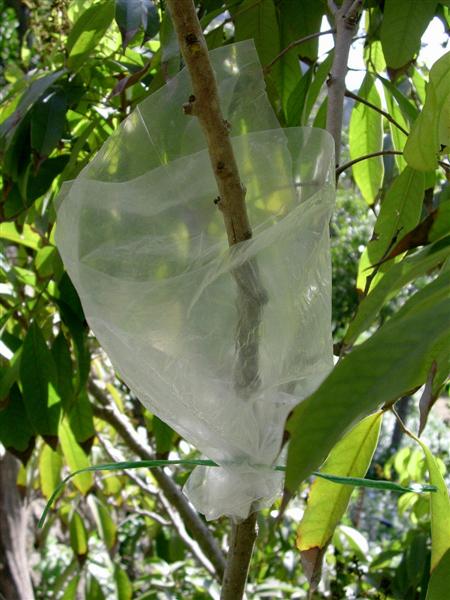 acodo-atar-abajo.jpg