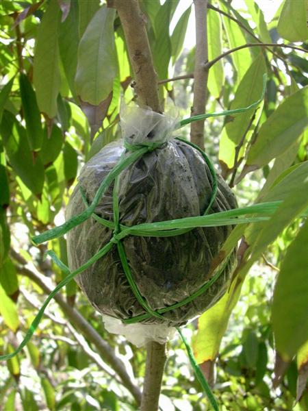 acodo-atar-plastico.jpg