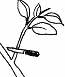 acodo-dibujo-1.gif