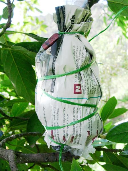 acodo-papel-atar.jpg