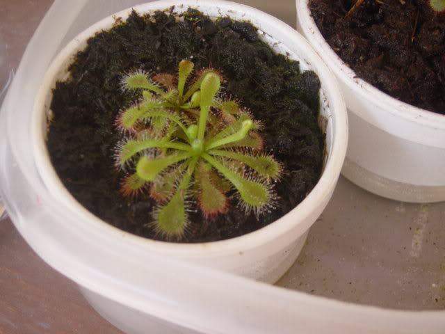 ad34c218.jpg