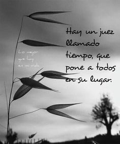 ad874ad524297955eeb4d1f7038ab208.jpg