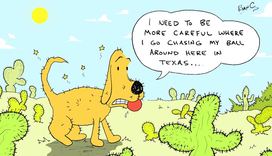 adcactus.jpg
