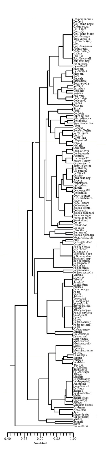 ADN_1.jpg