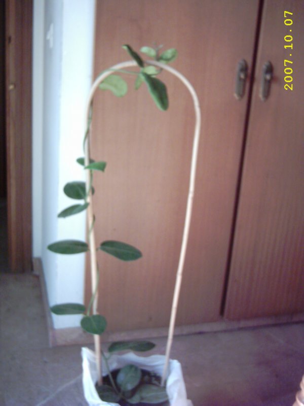 ae03ffacca39cb239fc05301951dbc65o.jpg