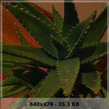 ae07150e626c70477e1aa8e95d1a9daco.jpg