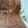 ae138b68041560.gif