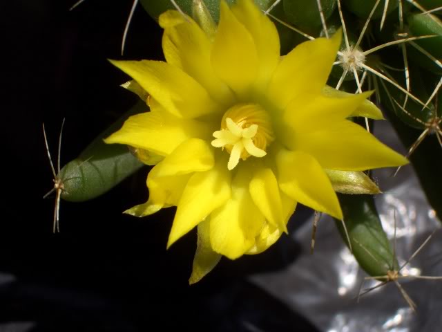 ae3410f4.jpg