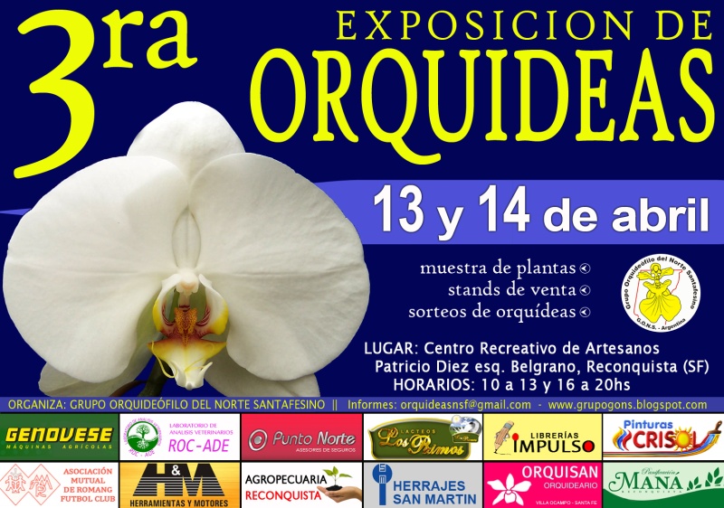 afiche+800.jpg
