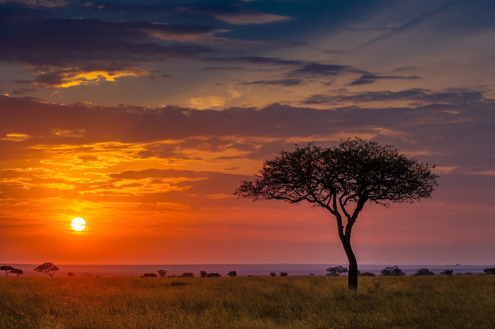 Africa-Skies-6.jpg