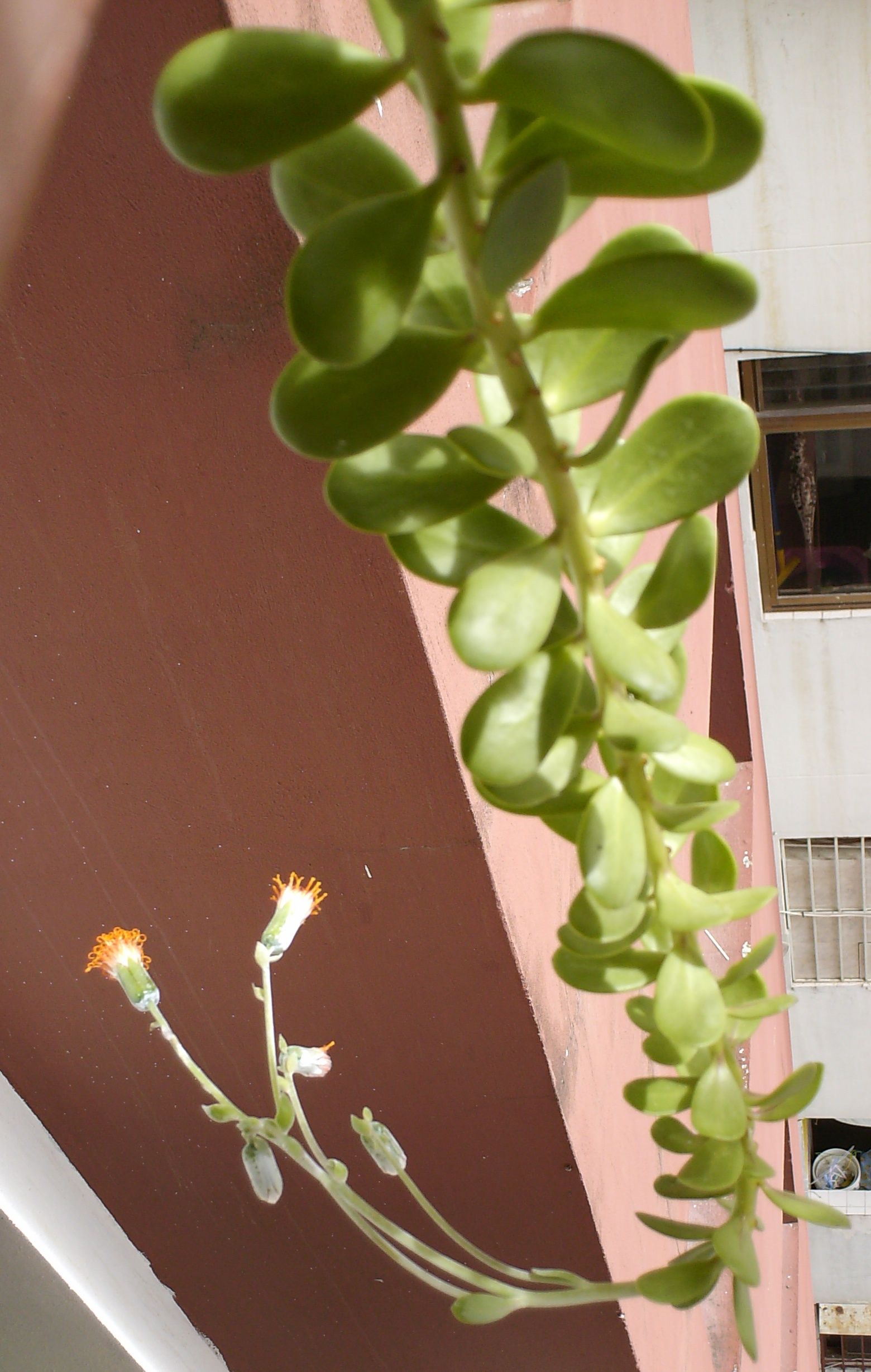 agosto-024.jpg