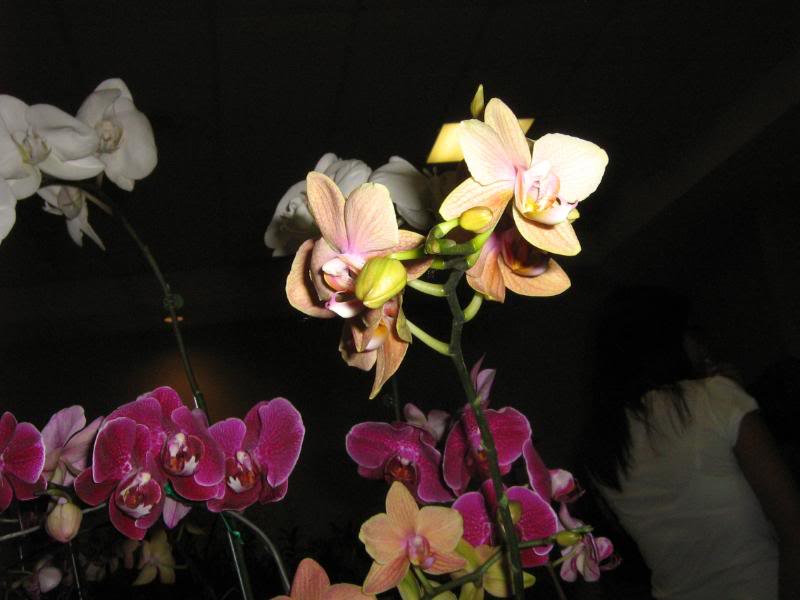 agosto-08124.jpg