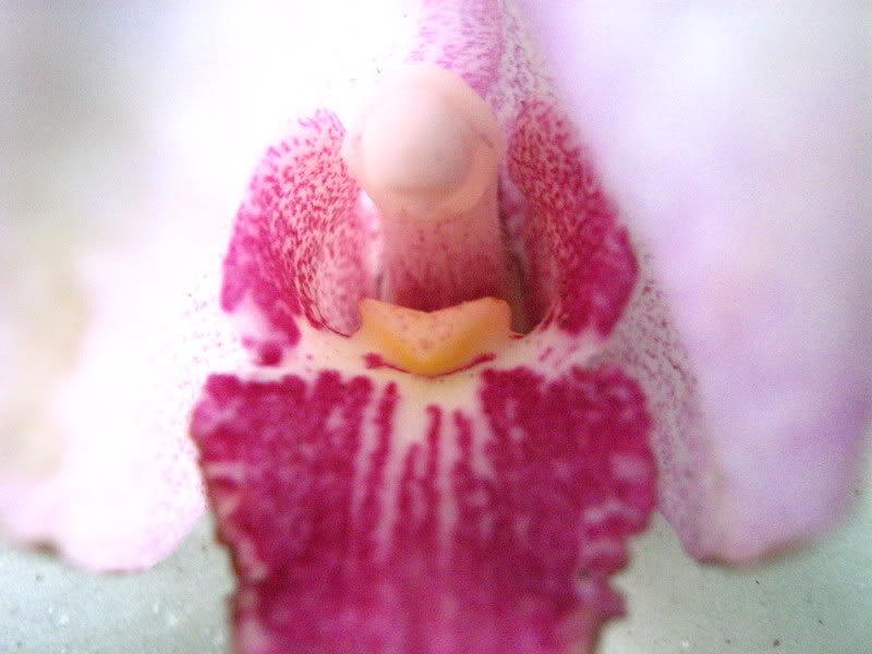 agosto-08157.jpg