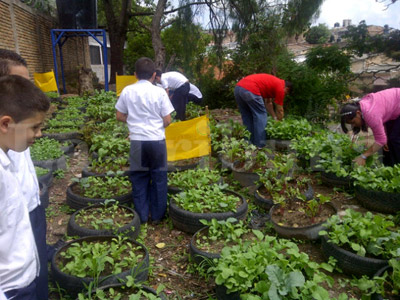 agri-1.jpg