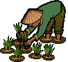 Agricultor-02.gif