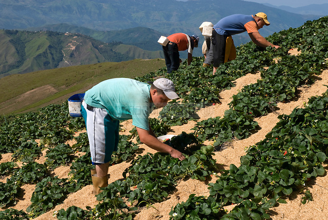 Agricultura090825RL656.jpg