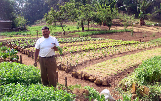 agroecology-conference-rome.jpg