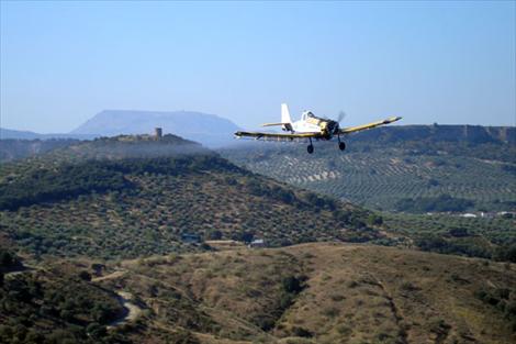 Agroinformacion.com24032013_120111.JPG