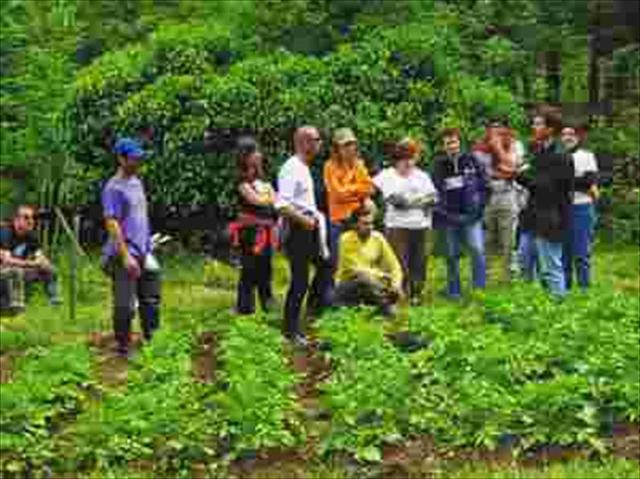 agroinformacioncom16022.jpg