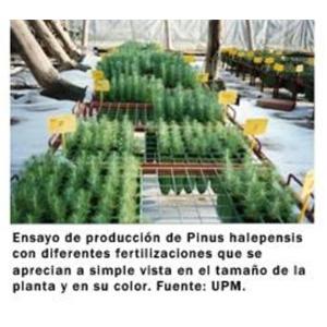 agroinformacioncom19012.jpg