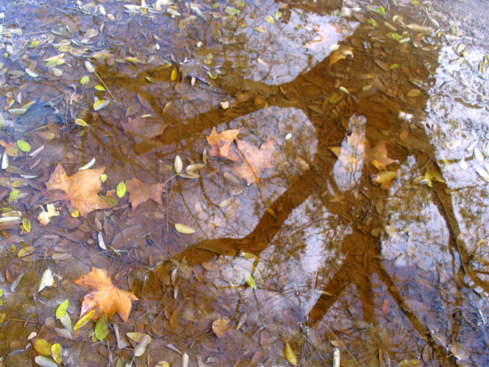 agua15.jpg
