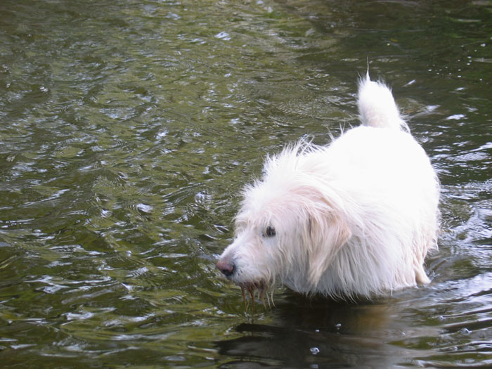 agua18.jpg