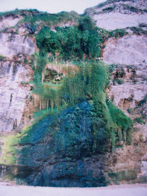 agua25.jpg