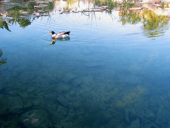 agua38.jpg