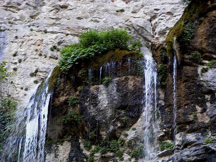 agua81.jpg