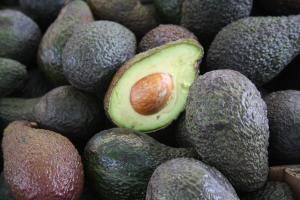 aguacate001_1.jpg
