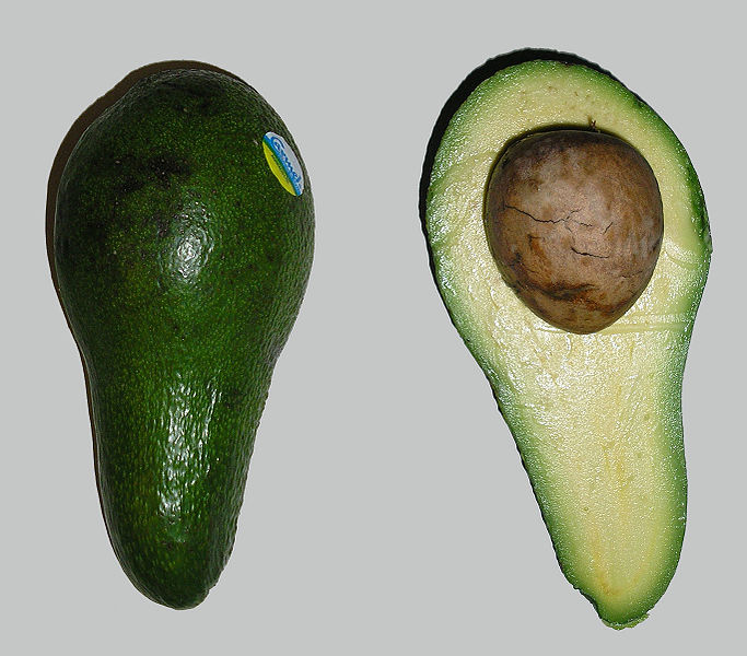 aguacate1.jpg