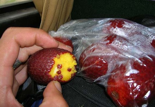 Aguaje-fruto.jpg