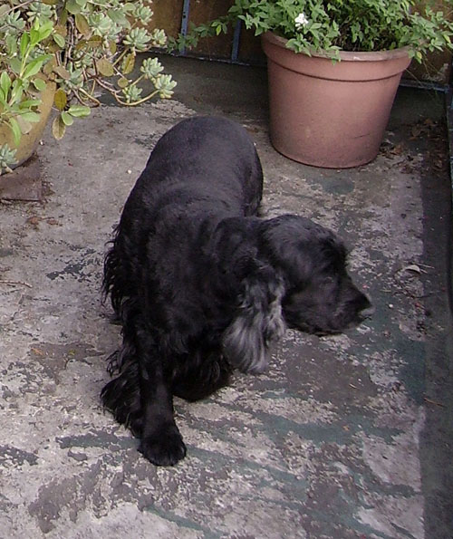 agus1.jpg