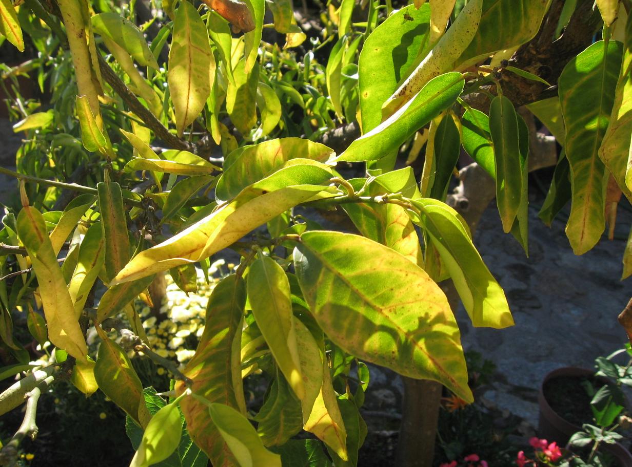 ahAAClo.jpg