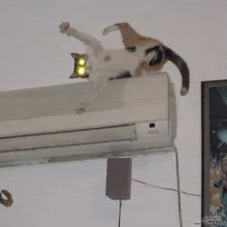 airconcat.gif