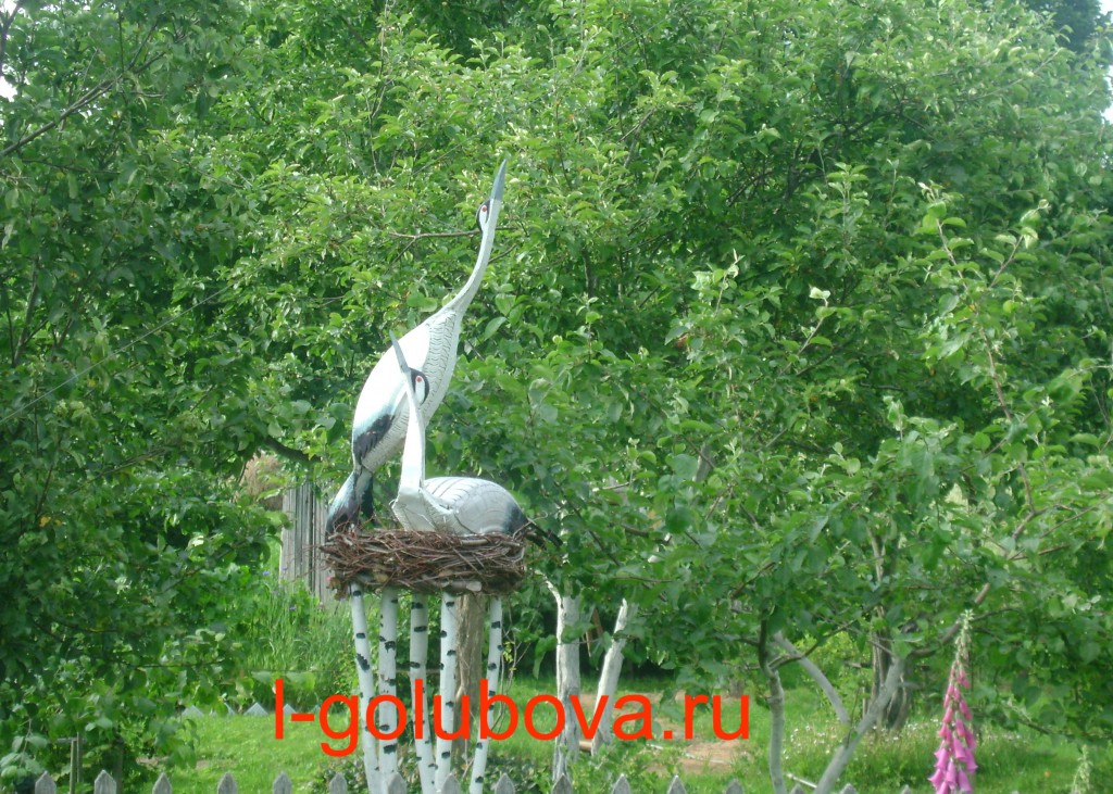 aistyi-1024x731.jpg