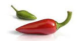 aji03.jpg