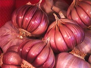 ajo-rosado.jpg