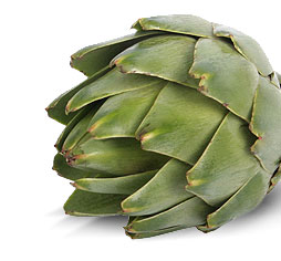 alcaucil.jpg